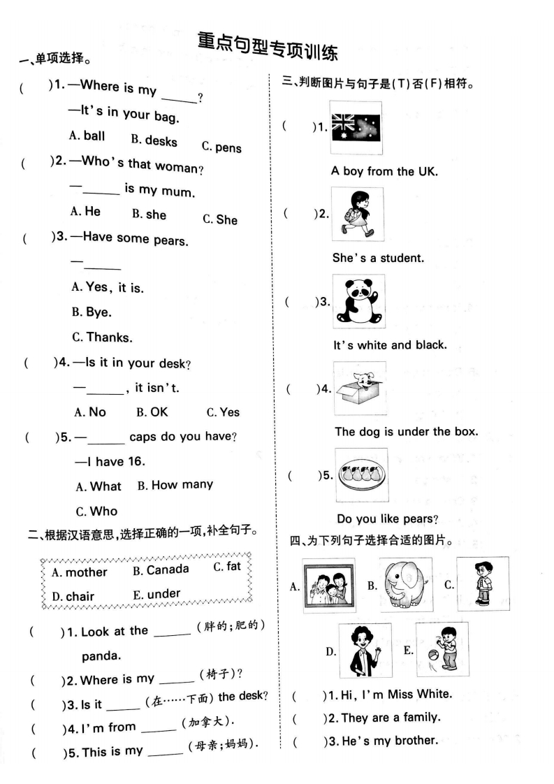 三年级英语下册专项-重点句型训练（人教PEP）
